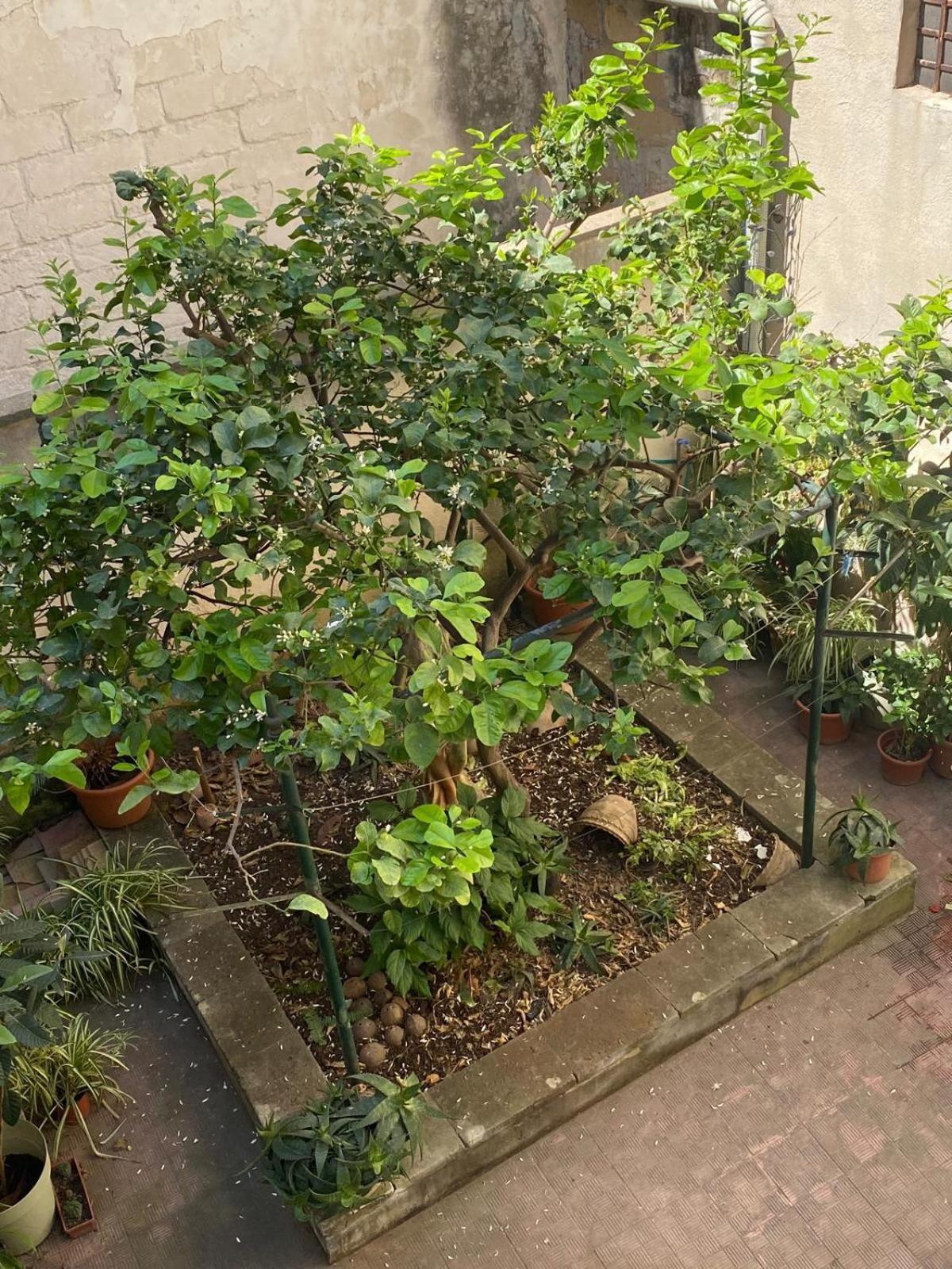 Casetta Zia Tetti Lecce Ngoại thất bức ảnh